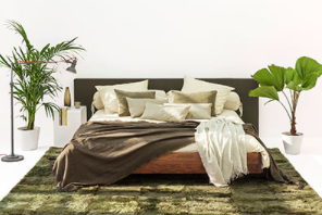 Green House Green House