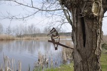 Metalbird - ijsvogel