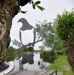 Metalbird - Duif