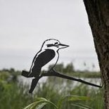 Metalbird - Kookaburra