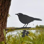 Metalbird - Merel
