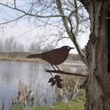 Metalbird - Merel