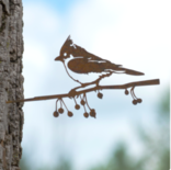 Metalbird - kuifmees