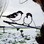 Metalbird - Mussen