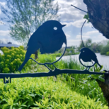 Metalbird - Roodborst duo