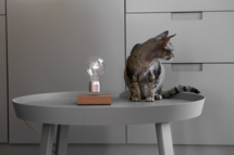 FLYTE - Zweeflamp Walnut