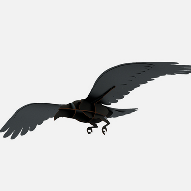 Ibride - Raaf Adam