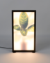 GROW FLOOR LAMP - M