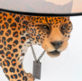 DOPE AS HELL SALONTAFEL - panter