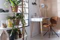 OMG CHAIR - LL Brown